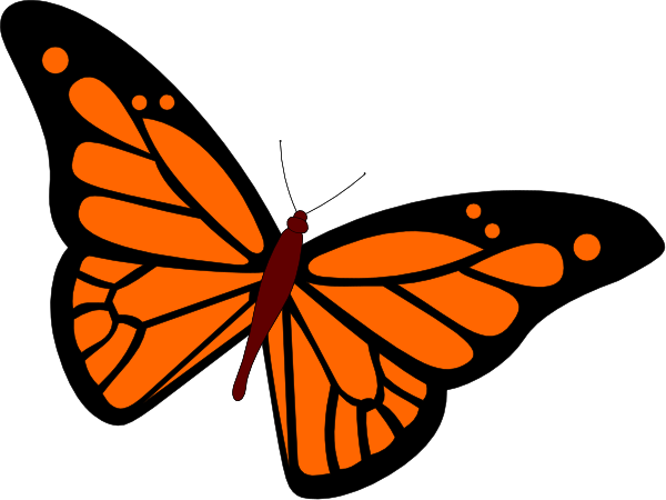 The image shows a stylized orange butterfly with black outlines against an indistinct background on what appears to be a digital display screen.