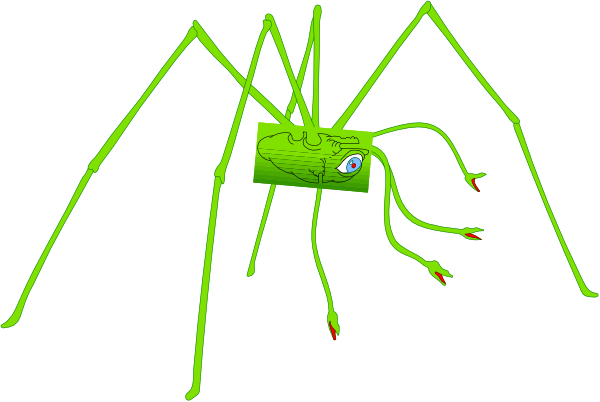 The image shows a green spider with eight legs against a black background.