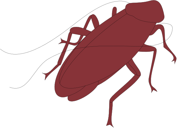 The image shows a red bug with six legs on it against a black background.