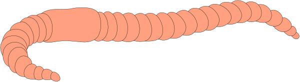 The image shows a pink worm with multiple segments on its body crawling across what appears to be a dark background.