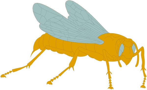 The image shows a cartoon bee with large eyes running on two legs towards an unseen object of interest while carrying something in its antennae.
