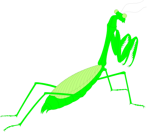 The image shows a green silhouette of an insect with antennae on its head lying down next to what appears to be another smaller figure that could represent either a humanoid form or perhaps some sort of animal, all set against a dark background which creates contrast and highlights their shapes in white light.