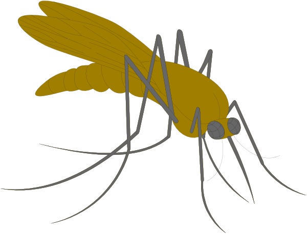 The image shows a cartoon mosquito with long legs on its body against a black background.