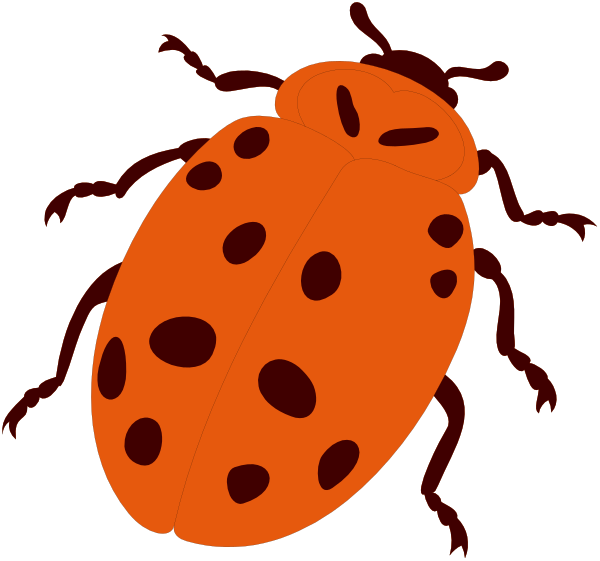 The image shows a red ladybug with black spots on its wings against an unseen background.