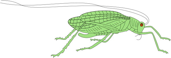 The image shows two green insects on a black background with white outlines; there is no text present.