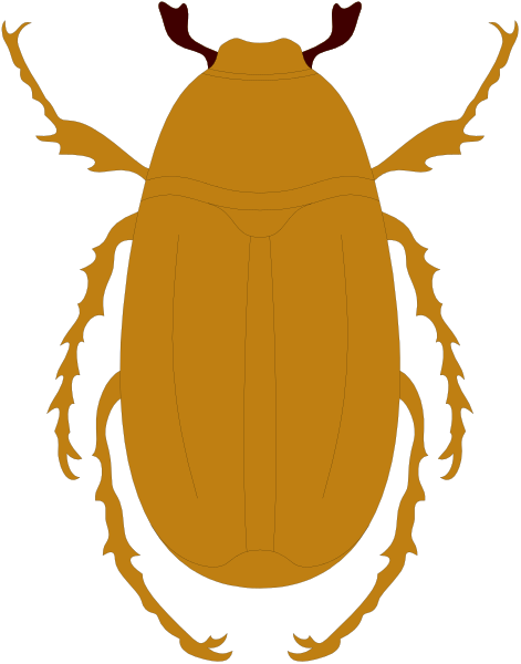 The image shows a stylized illustration of an insect with orange body coloring and black antennae on top of its head.