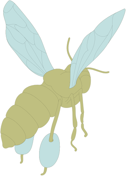 The image shows a cartoon bee with four legs hanging down from its body; it has two antenna on top of its head and is carrying what appears to be an egg in front of itself while flying against a black background.