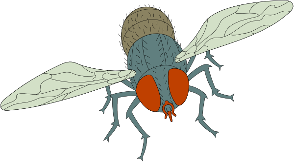 The image shows a cartoon of two bees flying near each other with an insect on their back; there is no text present in this clip-art illustration.
