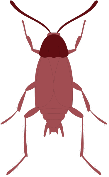 The image shows a red ladybug with black spots on its wings against a dark background.