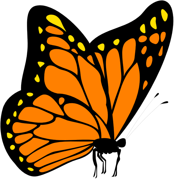 The image shows a stylized orange butterfly with black outlines against a dark background on top of another smaller picture that appears to be an illustration of a person's face in profile view below it, both set within two rectangles forming one larger rectangle.