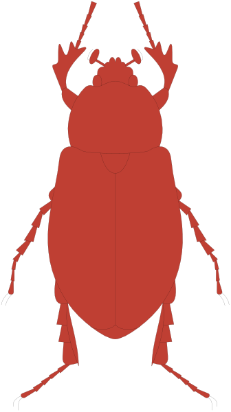 The image shows a red ladybug with white spots on its wings against a black background.