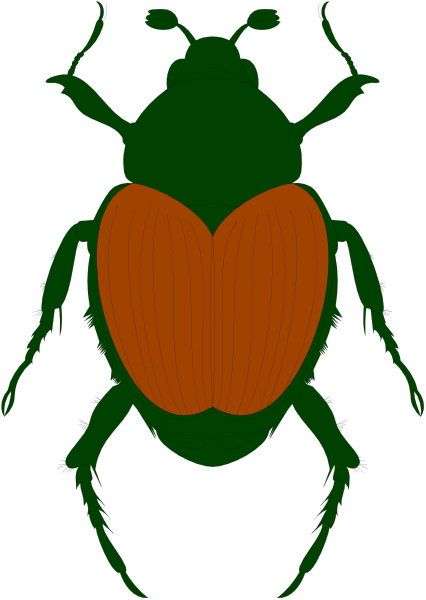 The image shows a stylized beetle with red wings on its back against a black background.