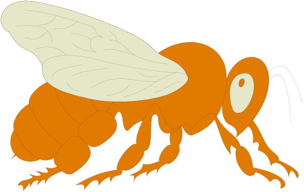 The image shows two bees: a large orange honeybee with wings spread wide on its back standing upright to the left of another smaller brownish-orange bee that is crawling upwards towards it, both set against an unseen background.