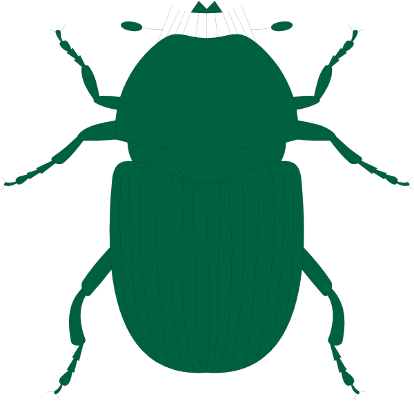 The image shows a stylized green beetle with six legs against a black background.