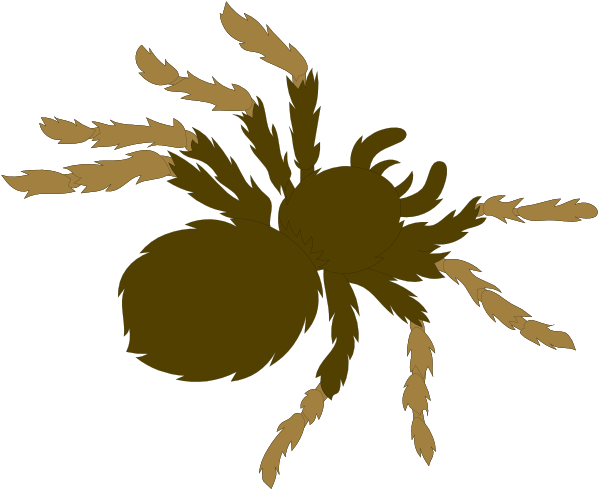 The image shows a cartoon of an insect with eight legs on its body, two antennae atop its head, and what appears to be eggs beneath it; there is also another similar creature in front of this one that seems smaller due to perspective distortion.