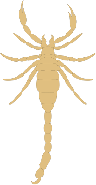 The image shows a stylized depiction of an insect with multiple legs on its body against a black background.