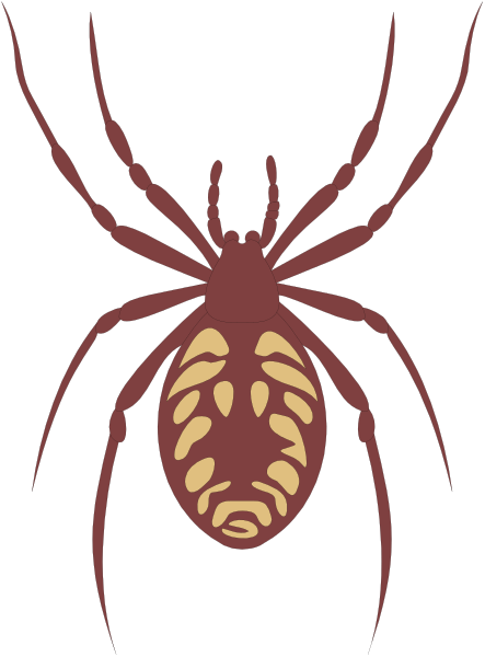 The image shows a stylized spider with an orange body on its web against a dark background.