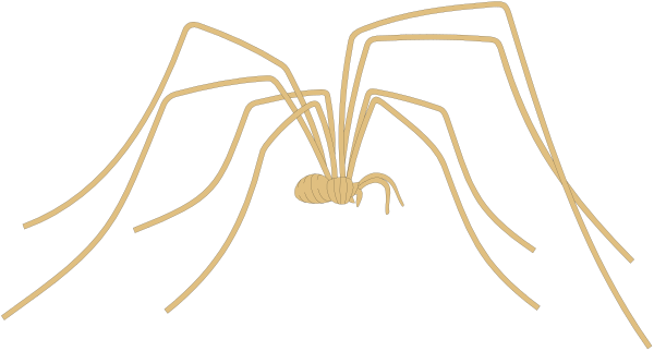 The image shows a cartoon depiction of an octopus with its tentacles spread out against a dark background; there is no text present in this clip-art illustration.