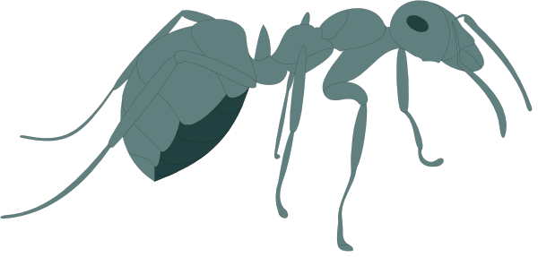 The image shows a cartoon of an ant with six legs walking on what appears to be leaves against a gray background.