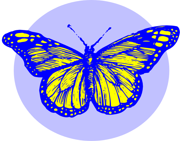 The image features a stylized butterfly with yellow wings on top of what appears to be an abstract blue background inside a circular frame.
