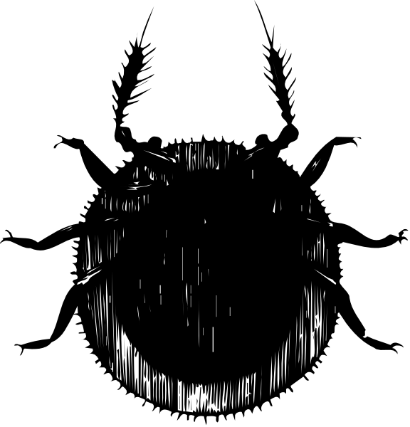 The image shows a black background with two distinct images: on top left there is an abstract design resembling a face; below it to its right appears as if looking through binoculars at another object, which seems like a small insect-like creature or bug in motion against the same dark backdrop.