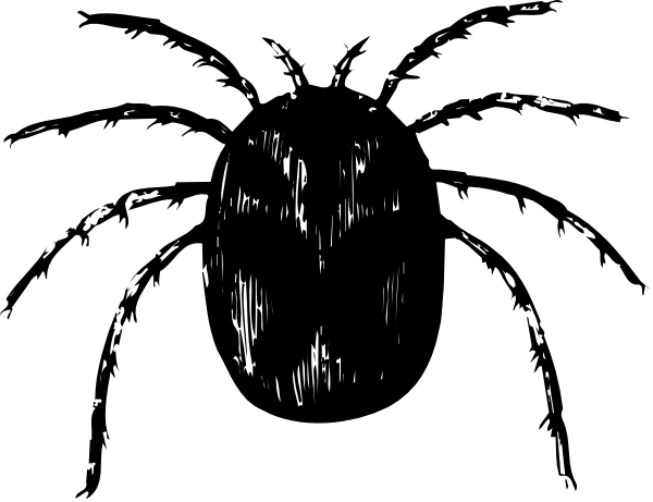 The image shows a black background with white dots that resemble stars scattered across it.