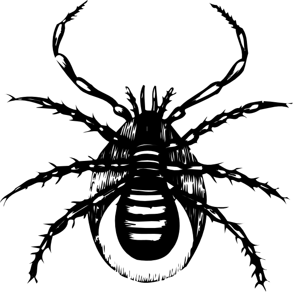 The black and white silhouette of a spider with its web against an empty background.