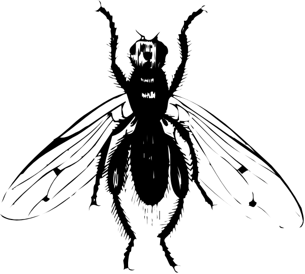 The black and white silhouette of a person with an object that resembles a knife near their head against a dark background.