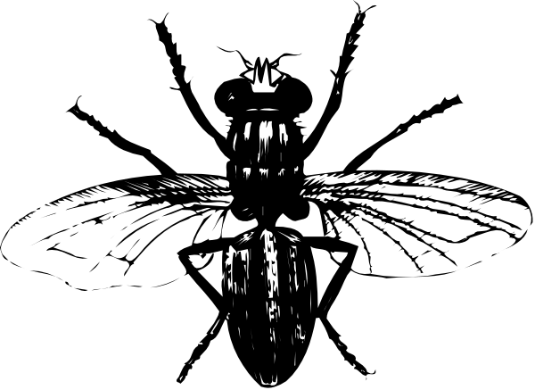The black and white photo shows a close up of an object with intricate details that resemble gears or mechanical parts against a dark background.