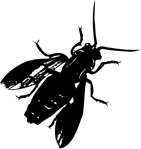 The black and white photo shows a blurry object that appears to be an animal with its head turned sideways against a dark background.