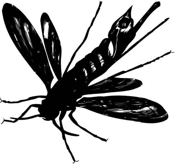 The black and white photo shows a butterfly with its wings spread out against an indistinct background that appears to be dark in color.