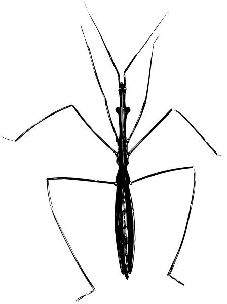 The black and white photo shows a spider on its web with an insect caught at night under artificial light illuminating it from above.