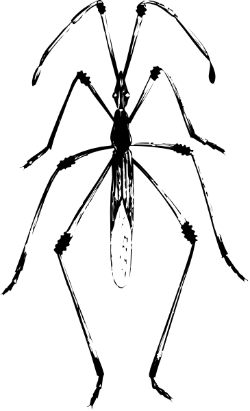 The image shows a black and white photo of an object with multiple parts that appear to be broken off from it, creating jagged edges against a dark background.