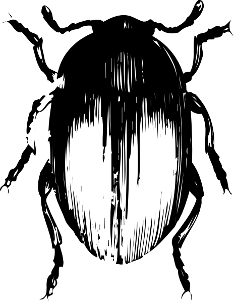 The image shows a black background with white abstract shapes that resemble splashes of paint on it.
