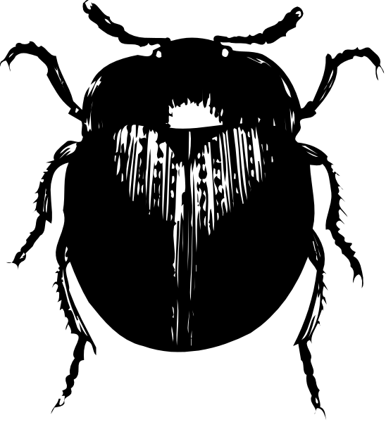The image shows a black silhouette of an insect with antennae on its head against a dark background.