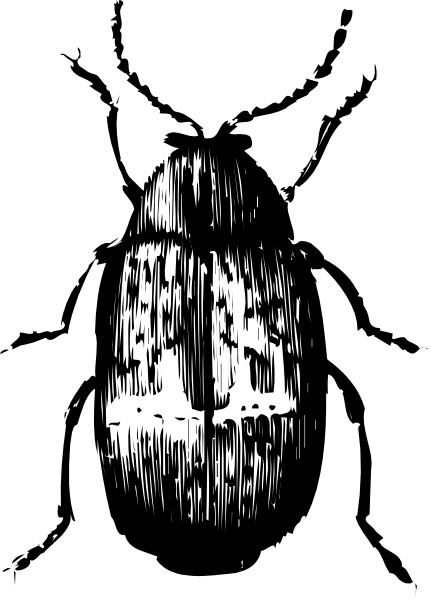 The image shows a black and white photo of an object that appears to be a person's head with their eyes closed against a dark background; it is cropped in such a way as only part of the face, specifically around the nose area, can be seen on one side while another section displays what seems like a blurred image or pattern.