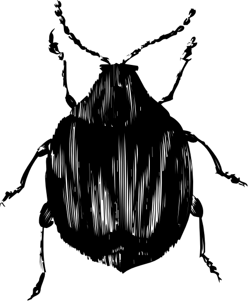 The image shows a black silhouette of an individual with their head turned to look at something off camera against a dark background.