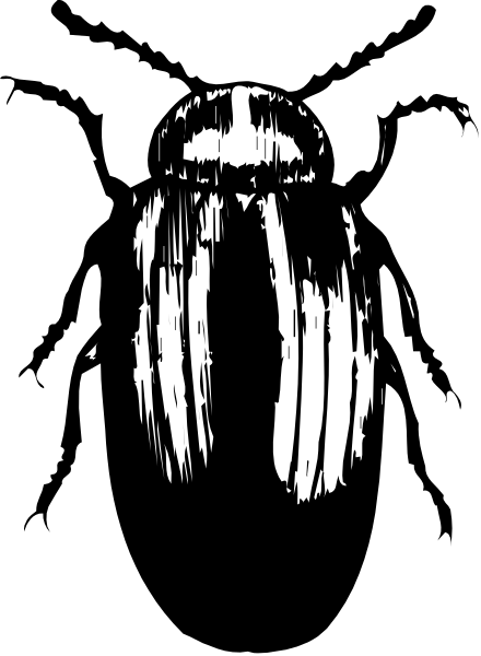 The black and white photo shows a blurry object that resembles an alien head with two eyes on either side of its face against a dark background.