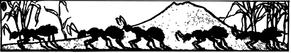 The black and white illustration shows a line of elephants walking across what appears to be an open field with trees in the background.