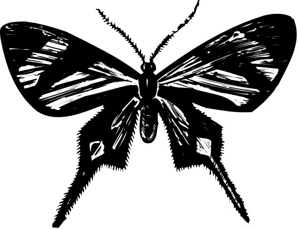 The black and white photo shows a close up of an insect with multiple legs on its body against a dark background.