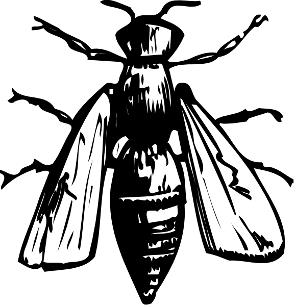 The black and white illustration shows a stylized depiction of an insect with humanoid features wearing clothing on its body; it is standing upright against a dark background.