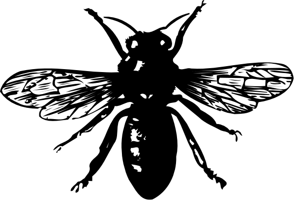 The black silhouette of a dragonfly with wings spread open against an indistinct background.