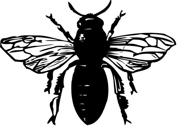 The black and white illustration shows a stylized dragonfly with intricate patterns on its wings against an untextured background.