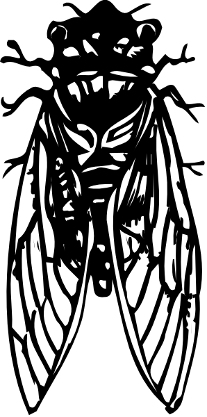 The black and white silhouette of a person with an animal head on their back is shown against a dark background.