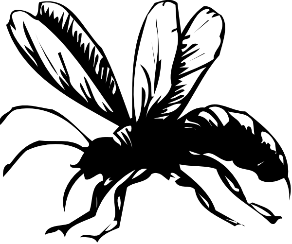The black and white illustration shows a stylized depiction of two feathers with leaves at their base against an indistinct background that could be interpreted as foliage due to its leaf-like shape, but it's not clear if there is any actual plant life present or just the artistic representation.