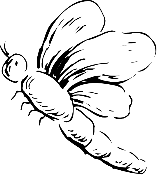The image shows a black cat sitting on top of an object with its tail curled around it.