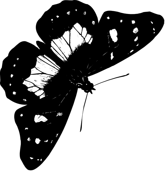 The black and white silhouette of a butterfly with spots on its wings is shown against a dark background.