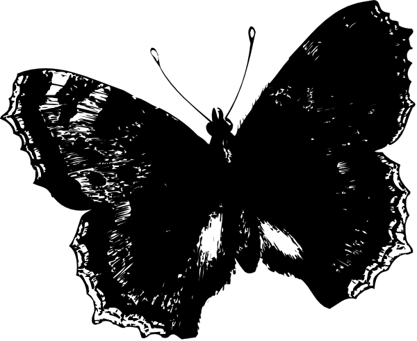 The image shows a black silhouette of an animal with its head turned to look at something off camera against a dark background.