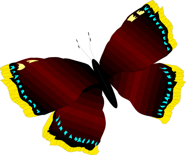 The image shows a butterfly with red wings that have blue spots on them against a black background.