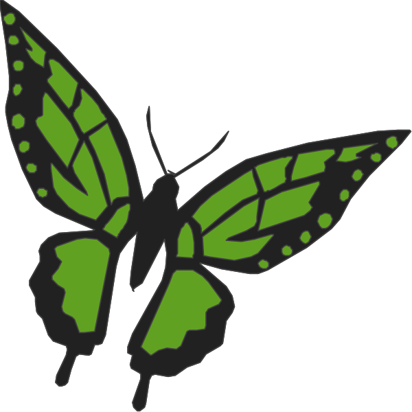 The image shows two green butterflies with black spots on a white background.